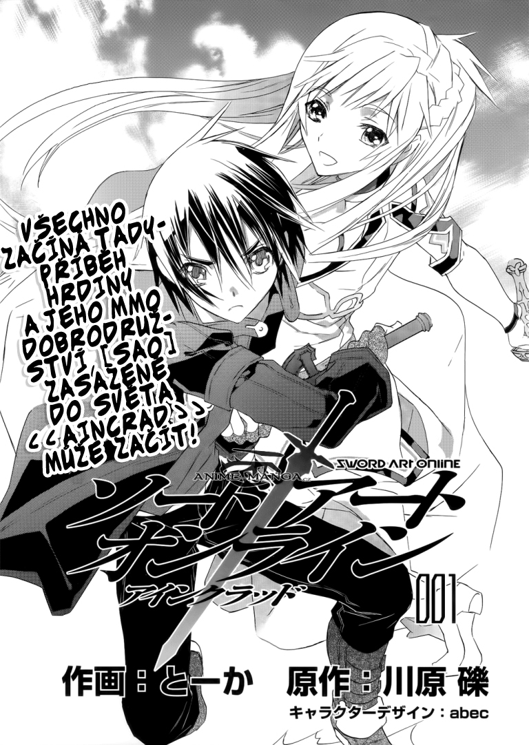Sword_Art_Online_c01_007 kopie.jpg